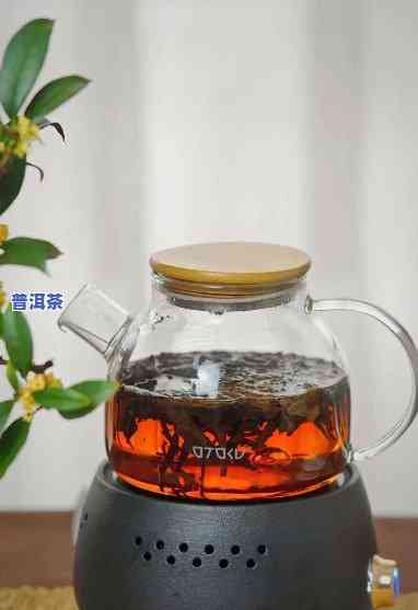 普洱茶第二天能煮吗能喝吗，普洱茶隔夜还能煮和喝吗？