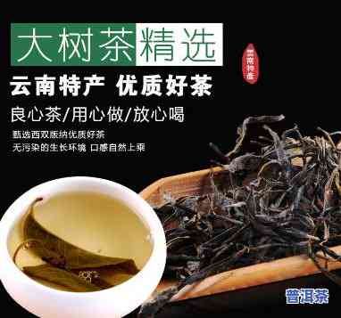 云南大树普洱茶代理电话，云南省大树普洱茶代理电话，方便快捷获取联系方法！