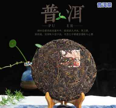 云南大树普洱茶代理-云南大树普洱茶代理电话