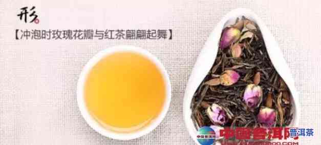 普洱茶可以种花吗视频讲解大全，全面解析：普洱茶怎样种花？看视频就知道！