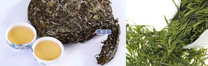 白茶普洱茶哪个更好喝，白茶与普洱茶：口感对比，哪个更胜一筹？