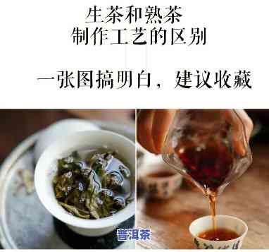 普洱茶生熟制作区别及功效全解