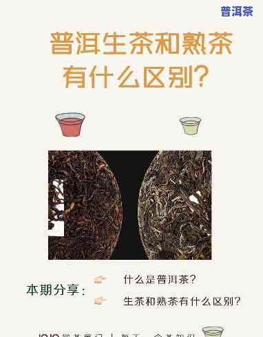 普洱茶生熟制作区别及功效全解