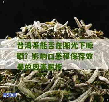 普洱茶用紫外线照射的目的-云南普洱紫外线强吗,会晒黑吗