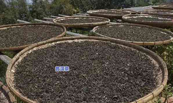 普洱茶人工渥堆发酵的作用结果解析