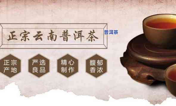 普洱茶招商加盟方案，发掘商机，实现共赢：普洱茶招商加盟方案解析