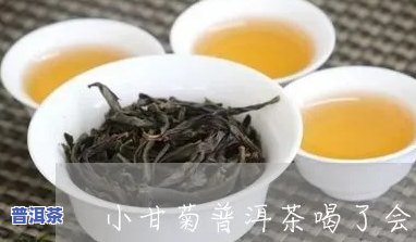 小甘菊普洱茶是属于什么茶-小甘菊普洱茶是属于什么茶的