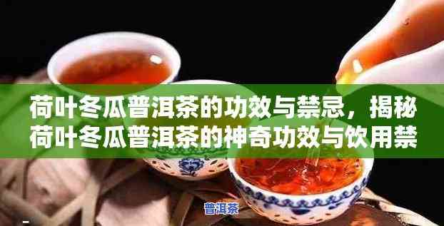 全面解析冬瓜荷叶普洱茶的功效、作用与禁忌