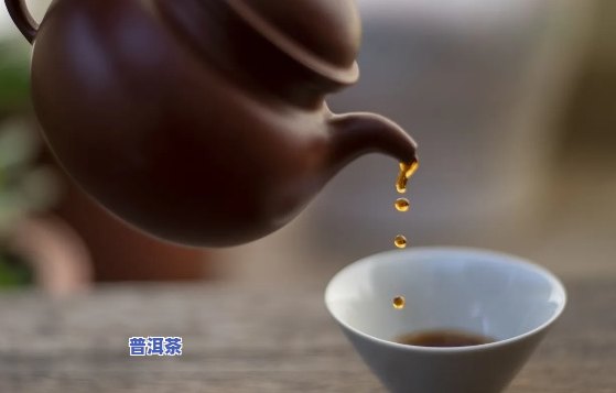 普洱茶可以用大杯子泡着喝吗？女生适用，视频解析全面指南