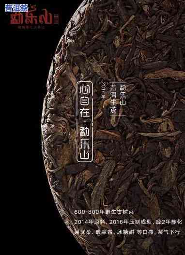 勐乐山普洱茶和颐山哪个好，比较一下：勐乐山普洱茶与颐山哪个更好？