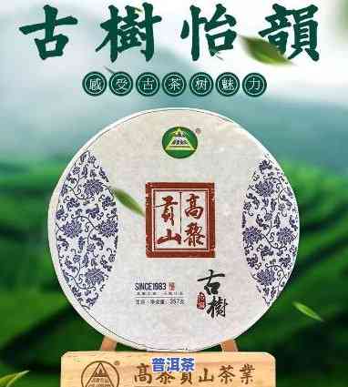 详解湛江普洱茶招商条件：请求与细节全解析