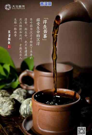 普洱茶宣传创意视频-普洱茶的宣传视频