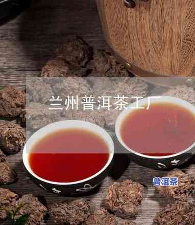 兰州普洱茶专卖店地址全览