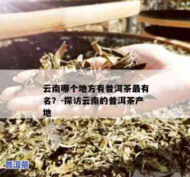 普洱茶更好的地方：云南哪的茶最正宗地道？