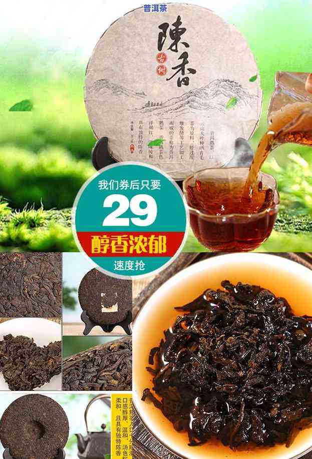 普洱茶古树白茶是什么口感和特点，探秘古树白茶：普洱茶的特别口感与特点