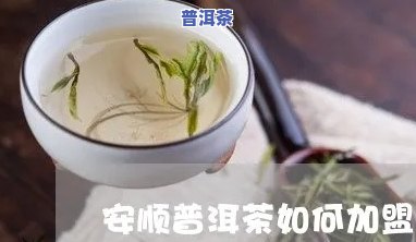 安顺普洱茶加盟代理店信息：地址、电话全公开