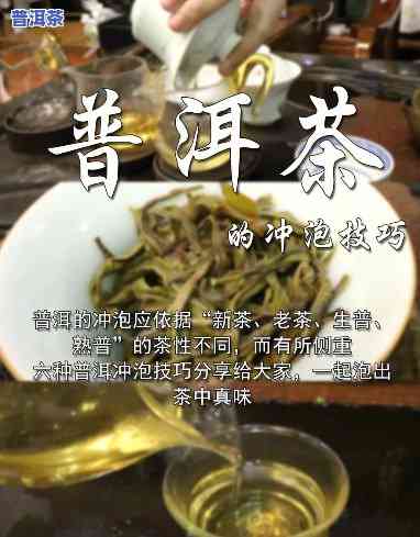 普洱茶茶饼需要煮吗，「普洱茶茶饼是不是需要煮？」：深入熟悉普洱茶的正确冲泡方法