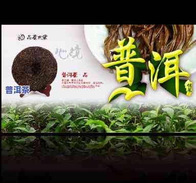 普洱茶招商加盟代理-普洱茶招商加盟方案