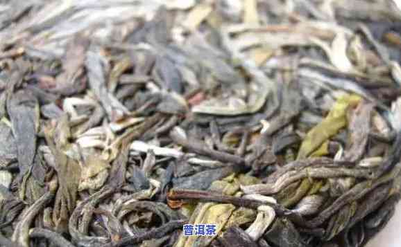 大益普洱茶没茶味什么起因呢，探究起因：大益普洱茶为何不存在茶味？