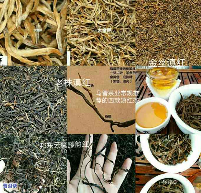 普洱茶专业仓储分析-普洱茶专业仓储分析报告