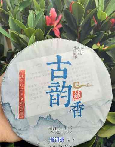 2019的古韵流香普洱茶-古韵流香普洱茶