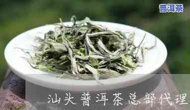 汕头普洱茶总部代理是谁？求解！