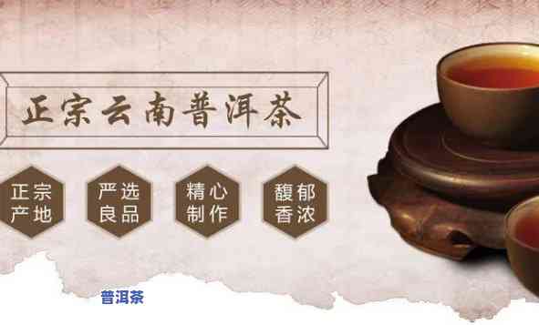 宁德普洱茶招商条件-宁德普洱茶招商条件是什么