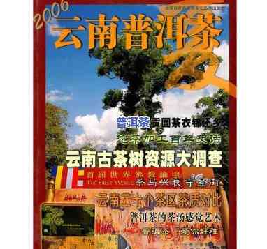 2006年普洱茶五大经典产品全揭秘