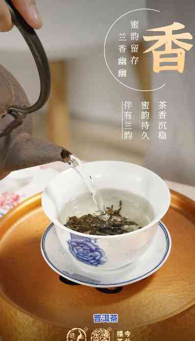 福今普洱茶吧贴吧，探索福今普洱茶的世界：贴吧讨论与分享