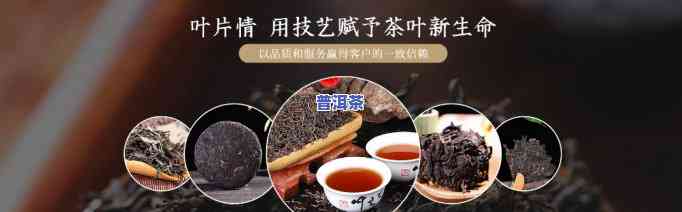 湛江普洱茶加盟代理-湛江普洱茶加盟代理电话