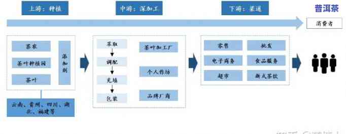 普洱茶供应链，探究普洱茶供应链：从茶园到杯中的一路追踪