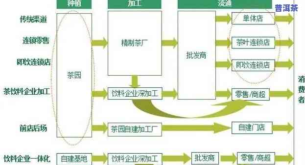 普洱茶供应链，探究普洱茶供应链：从茶园到杯中的一路追踪