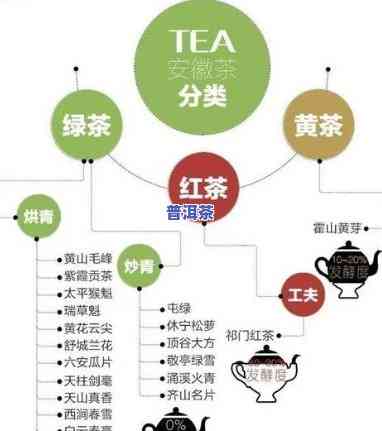 寻找普洱茶供应商：电话、渠道全攻略