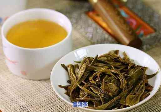 普洱茶的纯料是什么？定义与特点解析