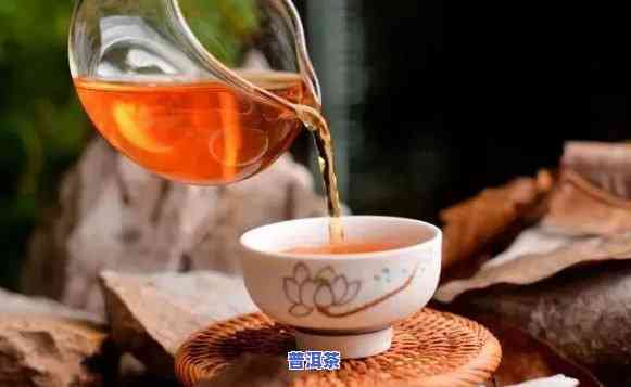 普洱茶的纯料是什么？定义与特点解析