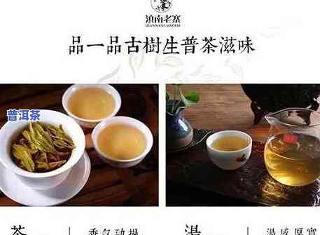 昆明普洱茶怎么加盟-昆明普洱茶怎么加盟代理