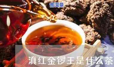 滇红金锣王是什么茶-滇红金锣王是什么茶品