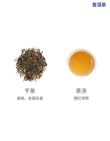 小罐茶滇红茶怎么样？口感怎样、品质怎样，全面解析