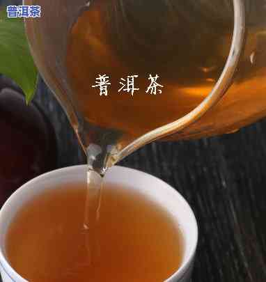 普洱茶代理，发掘商机：加入普洱茶代理，开启茶叶行业的财富之门！