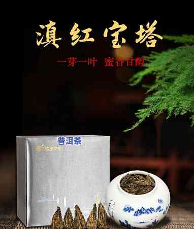 滇红宝塔茶：什么类型的茶？