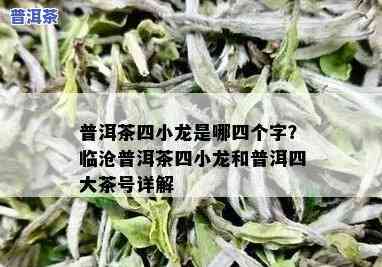 澜沧普洱茶四小龙是什么茶，「普洱茶」澜沧「四小龙」究竟指什么？