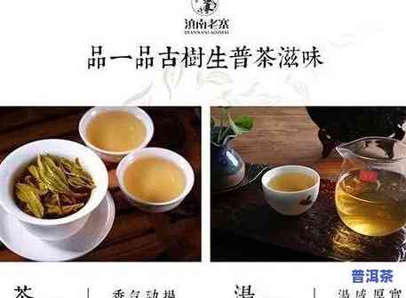 梅州普洱茶加盟条件-梅州普洱茶加盟条件是什么