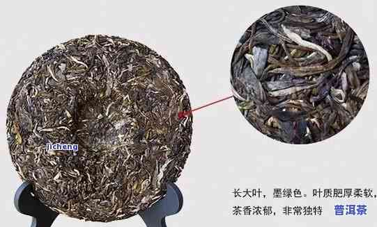 普洱茶形态分类有哪些特点呢，探究普洱茶的形态分类及其特点