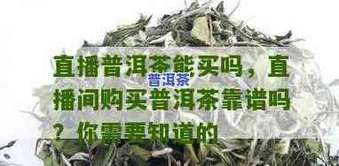 直播间卖当季新茶叶普洱茶可靠吗？真的吗？安全吗？