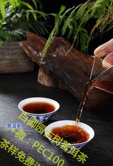 普洱茶体寒一个月瘦-普洱茶瘦了十几斤