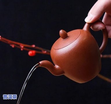 泡普洱茶用什么壶好呢？图片欣赏大全