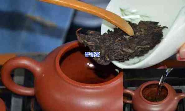 泡普洱茶用什么壶好？视频教程详解大全