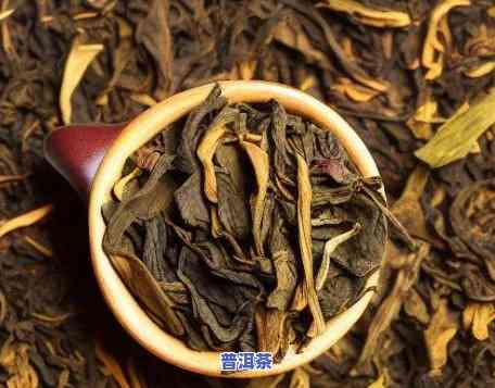 大青叶普洱茶怎么样好喝吗-大青叶普洱茶怎么样好喝吗图片