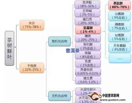 普洱茶的转化因素分析方法是，探究普洱茶转化的关键因素：一种分析方法