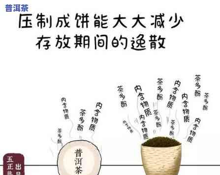 普洱茶的转化因素分析方法-普洱茶的转化因素分析方法有哪些